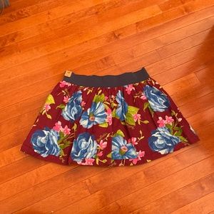 NWT Hollister Flare Skater Skirt